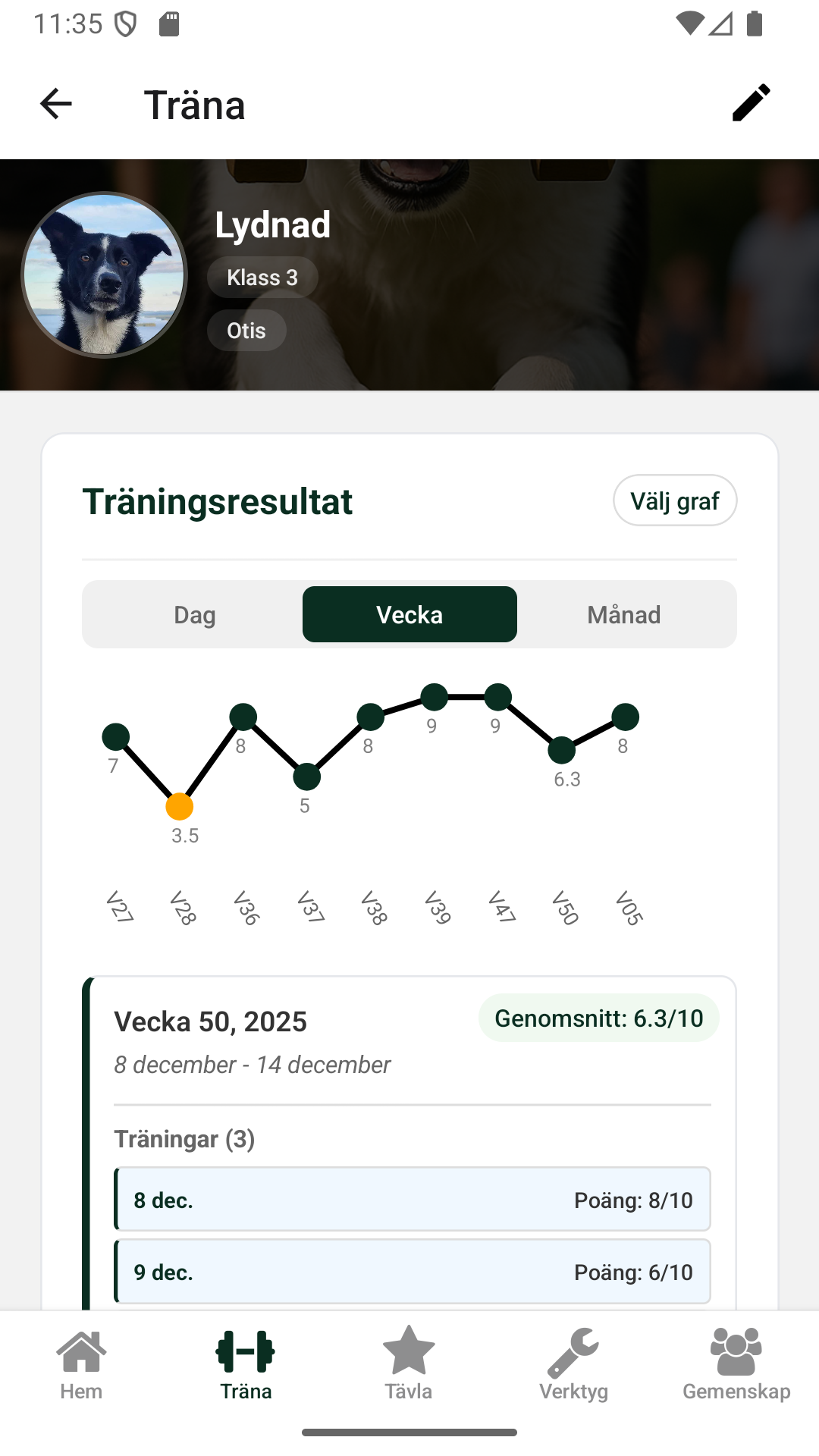DogStreak app screenshot 2